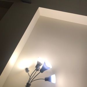 Meet your Posher, Bee